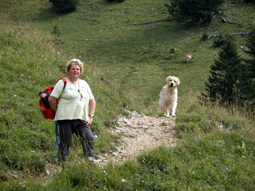 Aufstieg zur Alm